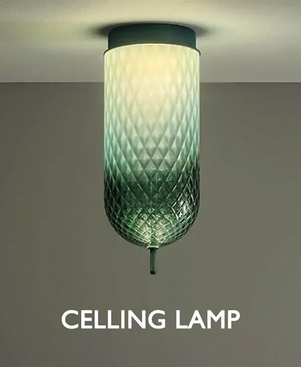 Ceiling light fixture coordinated with project lighting schedules